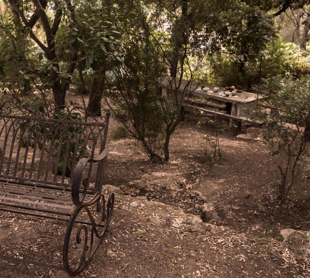 Nel Giardino Dei Pesci Volanti Villa San Pantaleo Ngoại thất bức ảnh